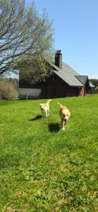 Planinska kuća Nemanja