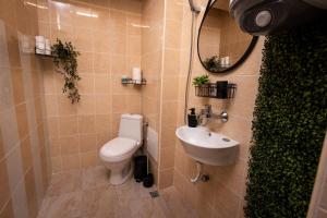 Студио Водни Лилии