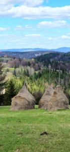 Planinska kuća Nemanja