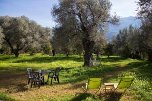 Secluded cabin in an organic farm, 1bd with AC, pet friendly
