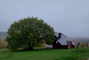 Planinska kuća Nemanja