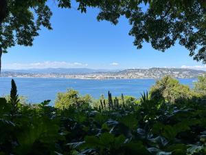 Maisons de vacances Les Genets : photos des chambres