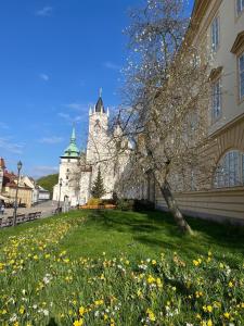 Vila Adéla - Teplice