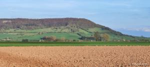 Fachwerkhaus in Deensen - Solling-Vogler-Naturschutzgebiet