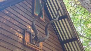 mokolodi Conservancy Chalets