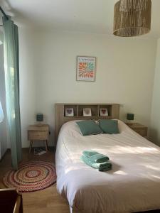 Appartements La Pessacaise conviviale Nice friendly apartment with Terrace Pessac Bordeaux : photos des chambres