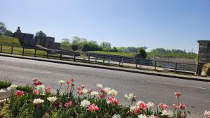 Appartements Appartement a Gravelines : photos des chambres