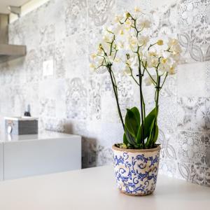 Relax tra lago e terme