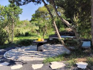 Studio apartman Grotta