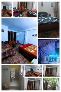 Jungle Jostel Homestay