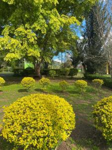 RECANTO FLORES DA MONTANHA- via fácil ASFALTO, VISTA das Montanhas
