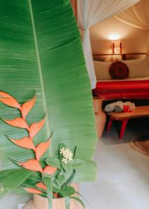 Na Villa dos Algodões