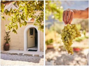 Παραδοσιακός πέτρινος ξενώνας σε φάρμα