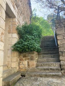 Hotels Aux Vieux Arceaux : photos des chambres
