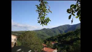 Maisons de vacances Canigou Gites big pool sleeps many : photos des chambres
