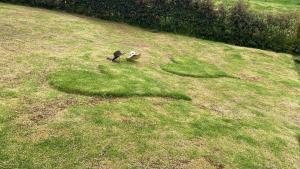 Cabaña Morada Rachusiju para relajarte y descansar