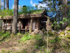 Timmerstugan i skogen