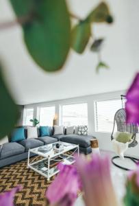 Surfstar at Mimosa Jeffreys Bay