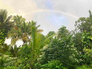 Seaside House and Aloha Bungalow