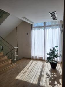 Vila Mamaia Land