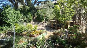 Maisons de vacances Les Lauriers Roses : photos des chambres