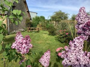 Maisons de vacances Romantic Cottage : photos des chambres