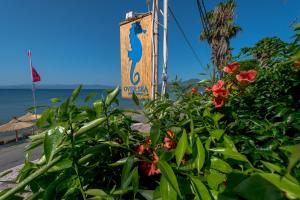 Over Sea Rooms & Villas Evia Greece