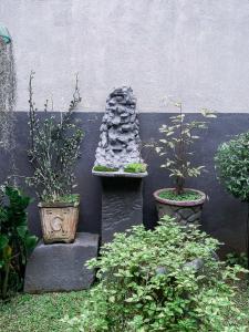 Serenity Home Stay