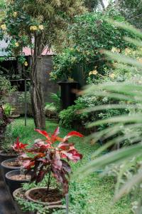 Serenity Home Stay
