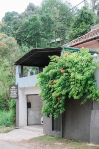 Serenity Home Stay
