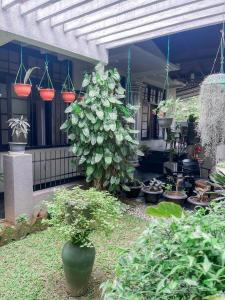 Serenity Home Stay