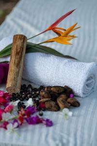 hostal las mariposas