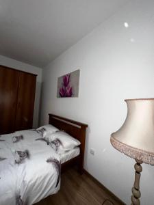 Apartman Cesare