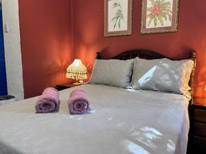 Chalé Gaia - Hospedagem Itatiaia