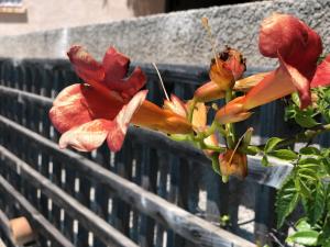 Villas Le Palatin : photos des chambres