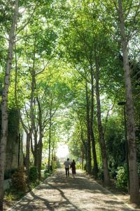 Boeira Garden Hotel Porto Gaia, Curio Collection by Hilton