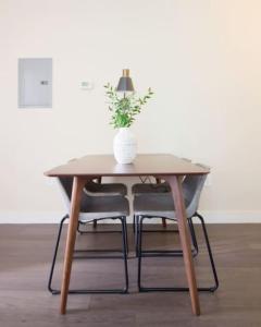 Pet Friendly Studio Walk to MGH