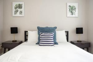 Airy 1BR Walkable to Everywhere in Boston