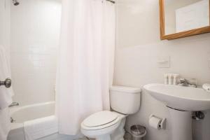 Fantastic 1BR Apt in Financial District, Boston