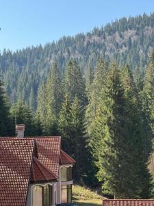 Alpine Relax free spa & pool