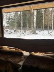 Elämyksellinen majoitus glamping-teltassa