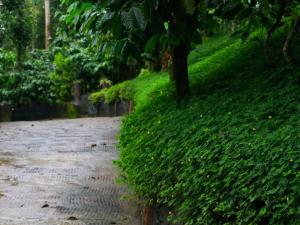 Fogland Villa