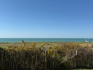 Charmant appartement T2 en rez de jardin terrasse face mer 4 personnes