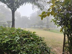 The Morning Mist Serviced Apt Cook Nature
