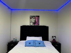 Apartamento alto de palmas