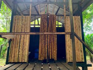 Amazonian Oropéndola & Tambopata