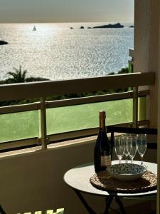 Beautiful apartment stunning view of the Lion de Mer