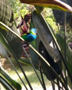 Quarto no Parque Nacional - Quarto Superior