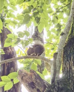 Quarto no Parque Nacional - Quarto Superior