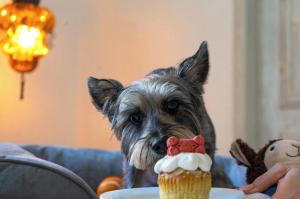 Mar del Cabo By Velas Resorts Adults Only